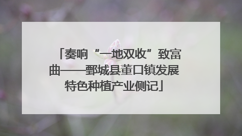 奏响“一地双收”致富曲——鄄城县董口镇发展特色种植产业侧记