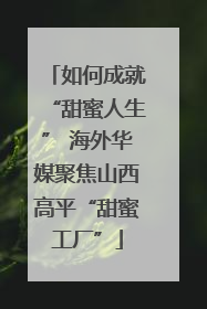 如何成就“甜蜜人生” 海外华媒聚焦山西高平“甜蜜工厂”