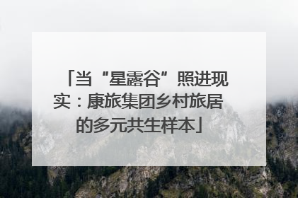 当“星露谷”照进现实：康旅集团乡村旅居的多元共生样本