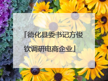 德化县委书记方俊钦调研电商企业