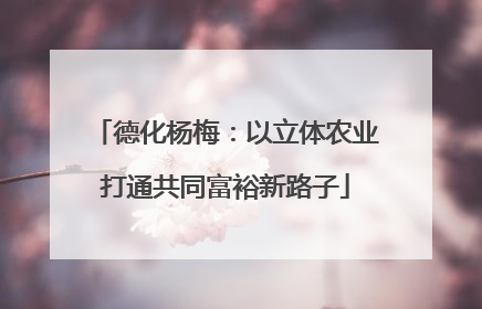 德化杨梅：以立体农业打通共同富裕新路子