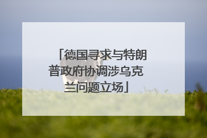 德国寻求与特朗普政府协调涉乌克兰问题立场