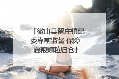 微山县留庄镇纪委靠前监督 保障夏粮颗粒归仓