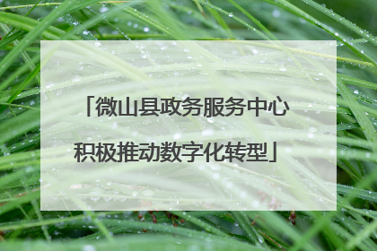 微山县政务服务中心积极推动数字化转型