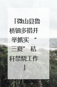 微山县鲁桥镇多措并举抓实 “三夏” 秸秆禁烧工作