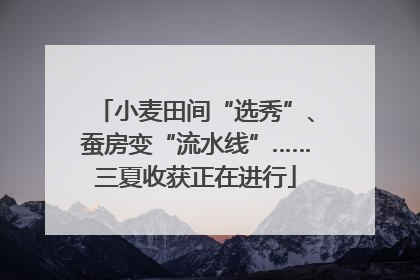 小麦田间“选秀”、蚕房变“流水线”……三夏收获正在进行