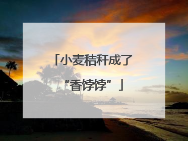 小麦秸秆成了“香饽饽”