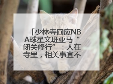 少林寺回应NBA球星文班亚马“闭关修行”：人在寺里，相关事宜不便公开