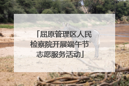 屈原管理区人民检察院开展端午节志愿服务活动