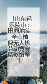 山东省乐陵市：田间地头 全市植保无人机劳动竞赛精彩纷呈