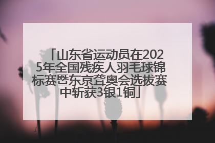 山东省运动员在2025年全国残疾人羽毛球锦标赛暨东京聋奥会选拔赛中斩获3银1铜