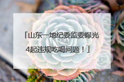 山东一地纪委监委曝光4起违规吃喝问题！