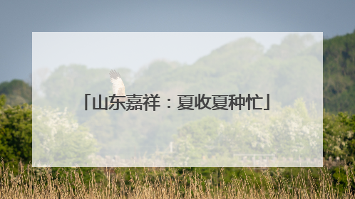 山东嘉祥：夏收夏种忙