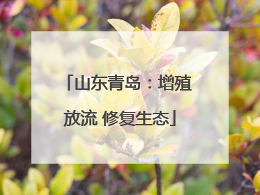 山东青岛：增殖放流 修复生态