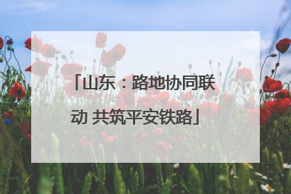 山东：路地协同联动 共筑平安铁路