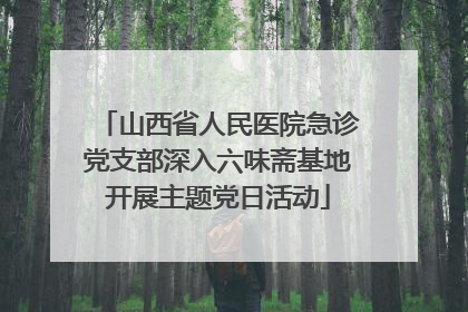 山西省人民医院急诊党支部深入六味斋基地开展主题党日活动
