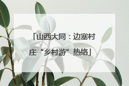 山西大同：边塞村庄“乡村游”热络