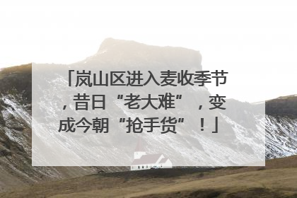 岚山区进入麦收季节，昔日“老大难”，变成今朝“抢手货”！
