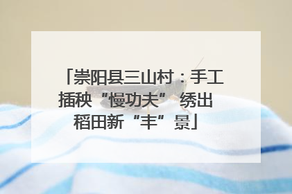 崇阳县三山村：手工插秧“慢功夫” 绣出稻田新“丰”景