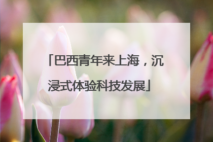 巴西青年来上海，沉浸式体验科技发展