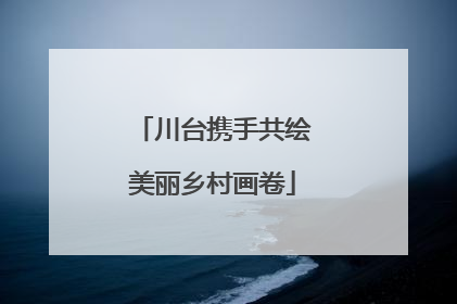 川台携手共绘美丽乡村画卷