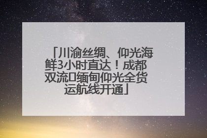 川渝丝绸、仰光海鲜3小时直达！成都双流⇌缅甸仰光全货运航线开通
