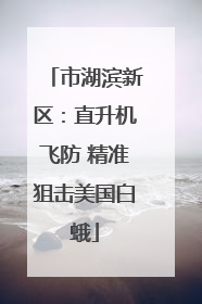 市湖滨新区：直升机飞防 精准狙击美国白蛾