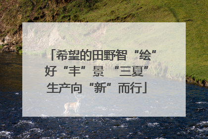 希望的田野智“绘”好“丰”景 “三夏”生产向“新”而行