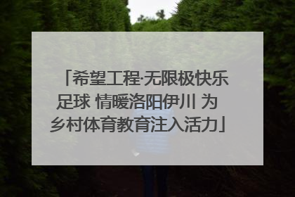 希望工程·无限极快乐足球 情暖洛阳伊川 为乡村体育教育注入活力