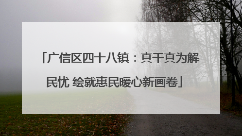 广信区四十八镇：真干真为解民忧 绘就惠民暖心新画卷