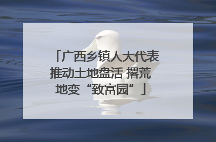 广西乡镇人大代表推动土地盘活 撂荒地变“致富园”