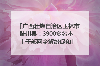 广西壮族自治区玉林市陆川县:3900多名本土干部回乡解纷促和