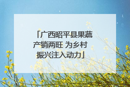 广西昭平县果蔬产销两旺 为乡村振兴注入动力