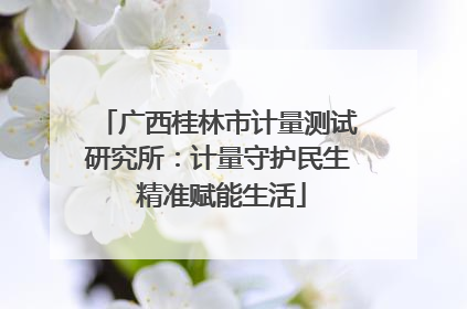 广西桂林市计量测试研究所：计量守护民生 精准赋能生活