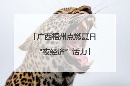 广西梧州点燃夏日“夜经济”活力
