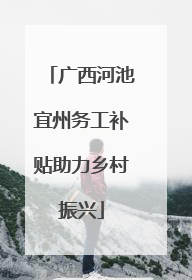 广西河池宜州务工补贴助力乡村振兴