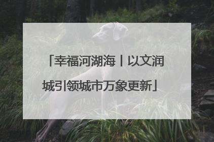 幸福河湖海丨以文润城引领城市万象更新