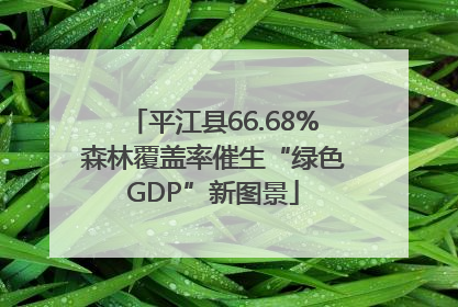 平江县66.68%森林覆盖率催生“绿色GDP”新图景