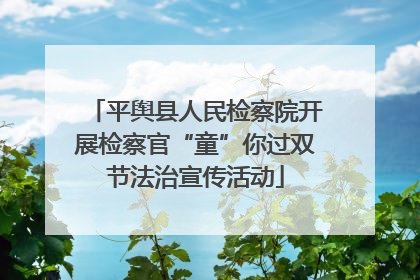 平舆县人民检察院开展检察官“童”你过双节法治宣传活动