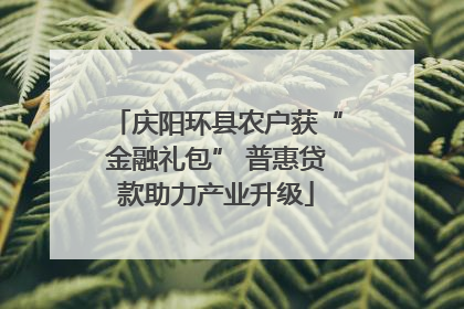 庆阳环县农户获“金融礼包” 普惠贷款助力产业升级