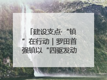 建设支点·“镇”在行动｜罗田首强镇以“四驱发动”践行首镇担当