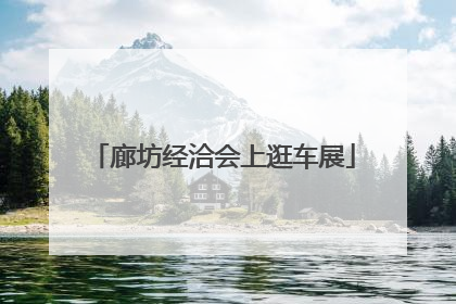 廊坊经洽会上逛车展