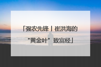 强农先锋丨崔洪海的“黄金叶”致富经
