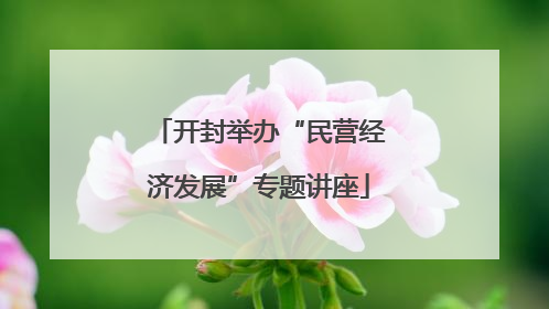 开封举办“民营经济发展”专题讲座
