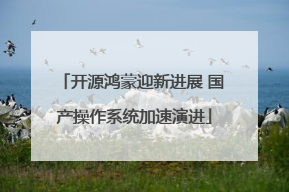 开源鸿蒙迎新进展 国产操作系统加速演进