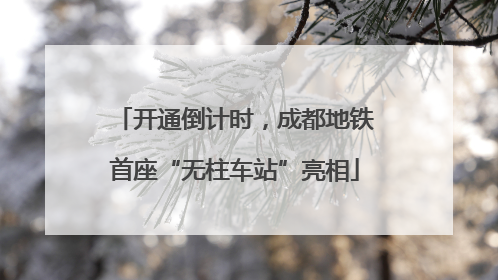 开通倒计时，成都地铁首座“无柱车站”亮相