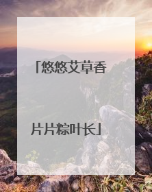 悠悠艾草香 片片粽叶长