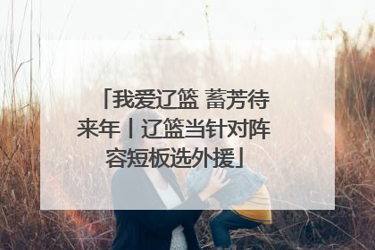 我爱辽篮 蓄芳待来年丨辽篮当针对阵容短板选外援