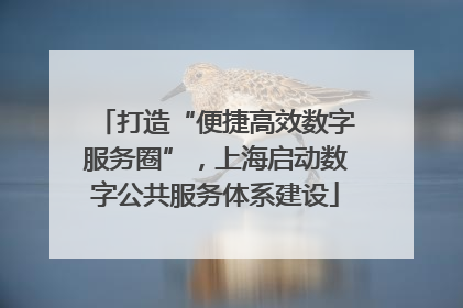 打造“便捷高效数字服务圈”，上海启动数字公共服务体系建设