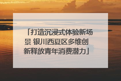 打造沉浸式体验新场景 银川西夏区多维创新释放青年消费潜力